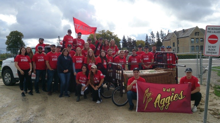 bedpush 2019 a